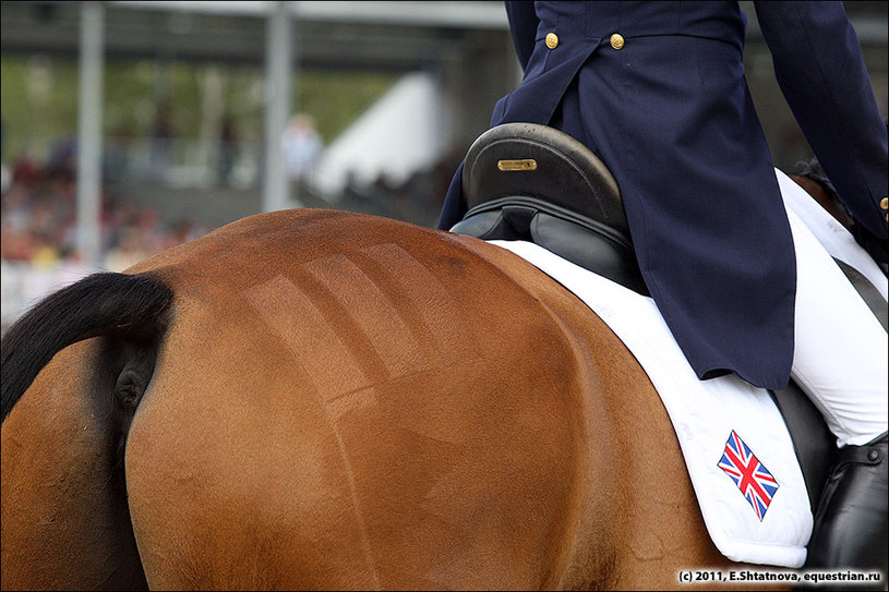 King Mary Imperial Cavalier