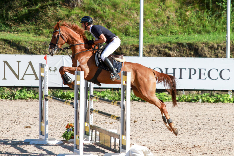 АНДОРА-14 и Янушкевич Максим