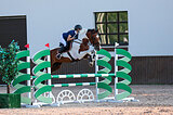 Мерин 2013 гр, 165 вх