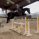 МАРШРУТЫ ДО 145 СМ