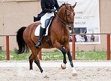 Большой Приз 64,8% | 9 лет!