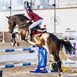 МЕРИН ИЗ ГЕРМАНИИ