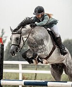 ЖЕРЕБЕЦ В КОНКУР