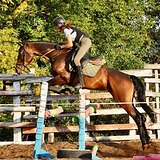 ГАННОВЕРСКАЯ КОБЫЛА | 9 ЛЕТ