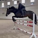 СТАРТОВЫЙ ОПЫТ ДО 110 СМ 