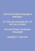 КУПИМ лошадь (даже сложную) 
