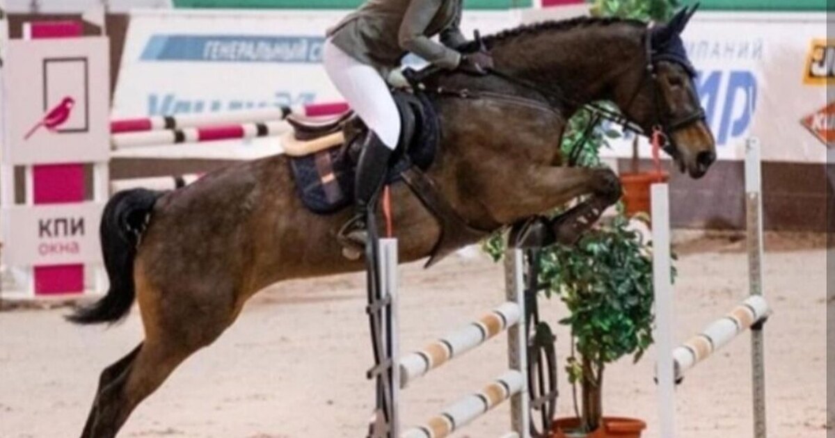 Вид препятствия в конном спорте