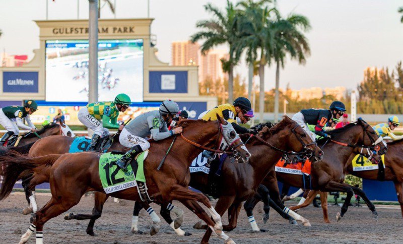 Ипподром Gulfstream Park 2017 год, скачка Pegasus World Cup