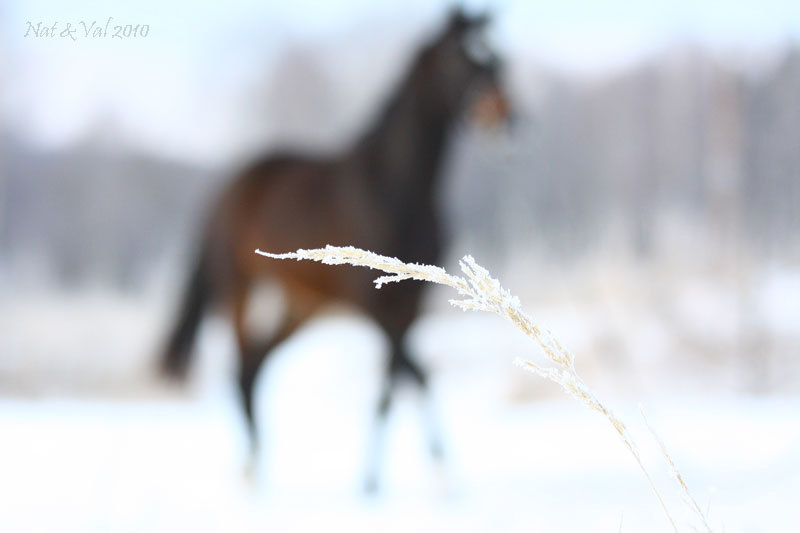 1 января 2010г.