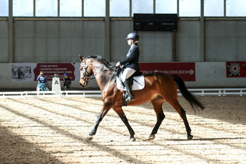 ВИД и Евдокимова Елена