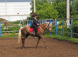 Пони 147 вх