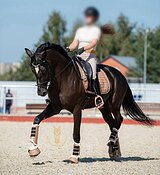 По запросу 