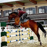 СТАРТОВЫЙ ОПЫТ ДО 130 СМ