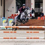 МЕРИН НА МАРШРУТЫ 120 СМ