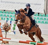 Кобыла 2019 г.р.