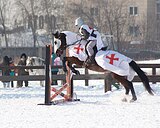 Жеребец 2020 гр