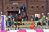 Кобыла на маршруты 120 см 