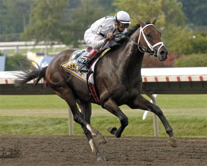 Ипподром Monmouth Park 2006 год, скачка Haskell Invitational Stakes