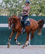 МАРШРУТЫ 115