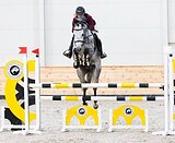 Кобыла на маршруты 120-130