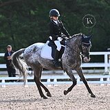 ПОНИ НА ДЕТСКИЕ ЕЗДЫ