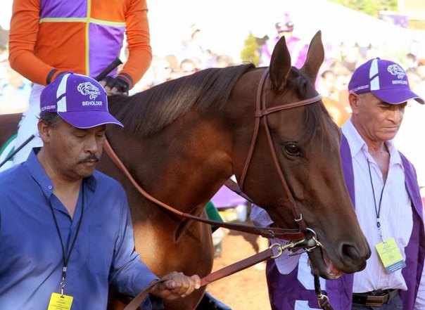 Ипподром Santa Anita Park 2013 год, скачка Breeders' Cup Distaff