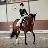 КОБЫЛА 170 СМ В ХОЛКЕ НА МП