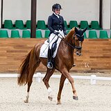 МЕРИН 4 ГОДА 174 СМ В ХОЛКЕ