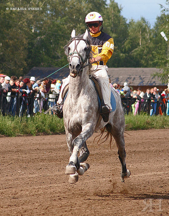 проминка перед Спортивным призом ( Барнаул, 19.08.07.)