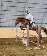 МЕРИН ПОД РЕБЁНКА