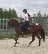 РАЙД-ПОНИ УРОВНЯ ЮНОШЕСКИХ