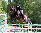 МЕРИН В КОНКУР • МАРШРУТЫ 10