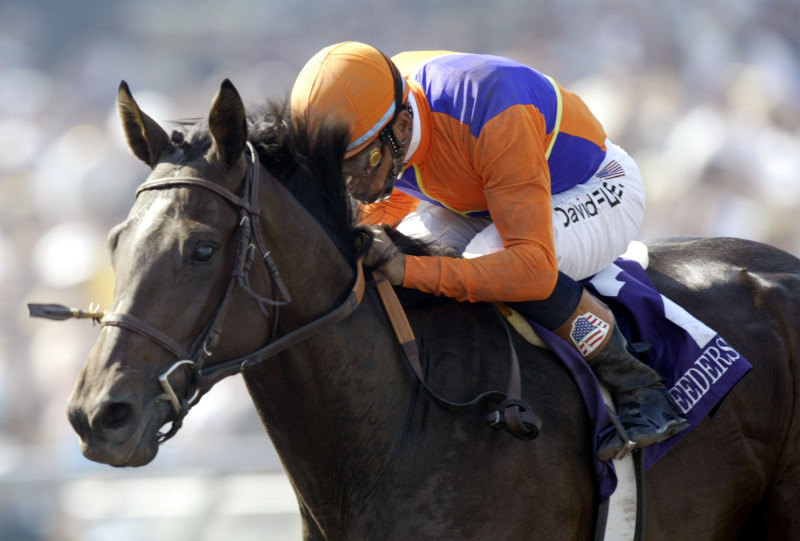 Santa Anita Park 2003 год. Скачка Breeders' Cup Juvenile.