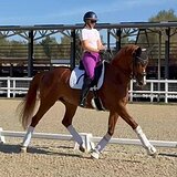 КОБЫЛА 9 ЛЕТ НА МП И СП