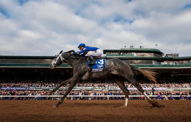 Ипподром Keneland, скачка Breeder's Cup Dirt Mile 2015 год.