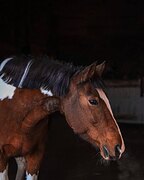 Красавица бюджетно!