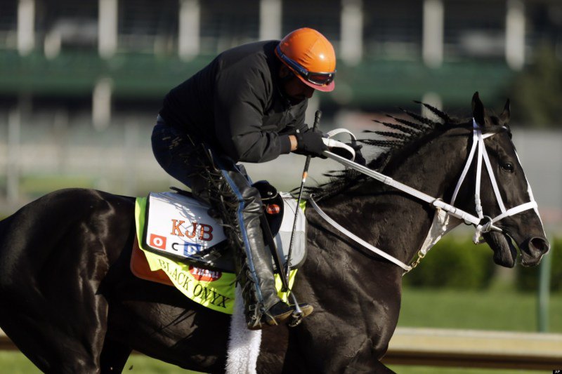 Ипподром Churchill Downs 2013 год, подготовка к первому этапу Тройной Короны - Kentucky Derby.