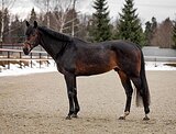 Маршруты 100, чистые рентген