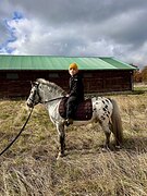 Аппалуза-пони