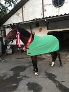 МАРШРУТЫ 110, СМЕЛАЯ