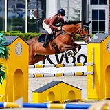 СТАРТОВЫЙ ОПЫТ ДО 130