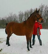 Мерин 