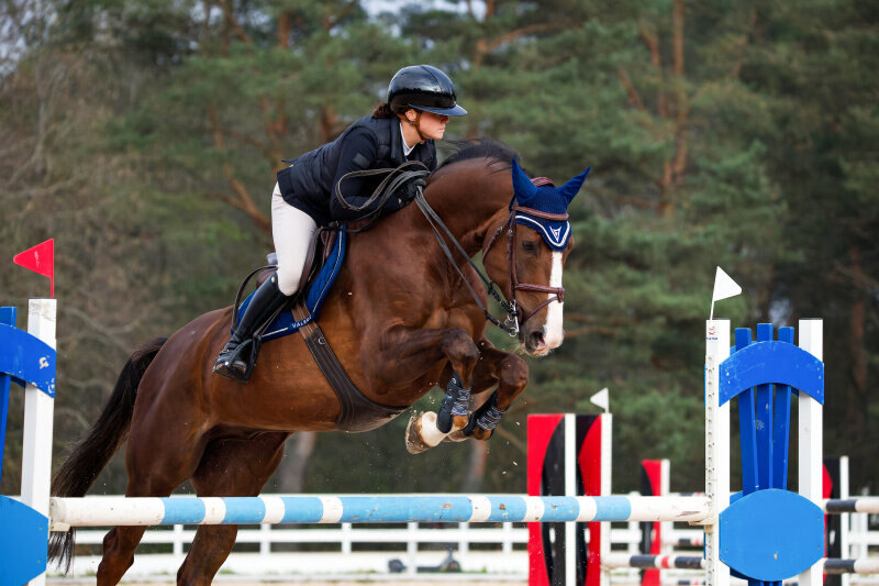 ГРАНД КОНТИНЕНТАЛЬ 