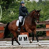 ЮНОШЕСКИЕ ЕЗДЫ, ЭЛЕМЕНТЫ МП