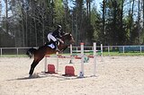 В конкур