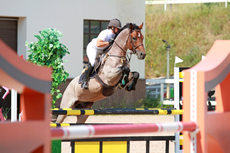 ПАМИР и Доманчук Любовь