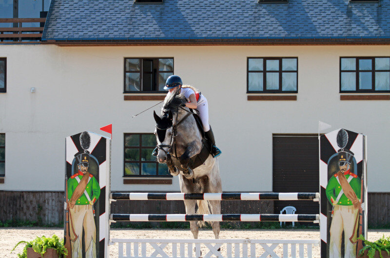 БОРДО-16 и Бардашевич Алиса