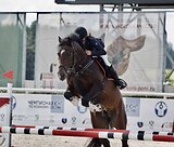 Конкур маршруты 145 см