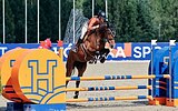 ВЫСОКАЯ КОБЫЛА В КОНКУР • М
