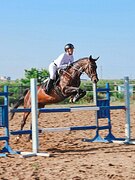 Универсальная